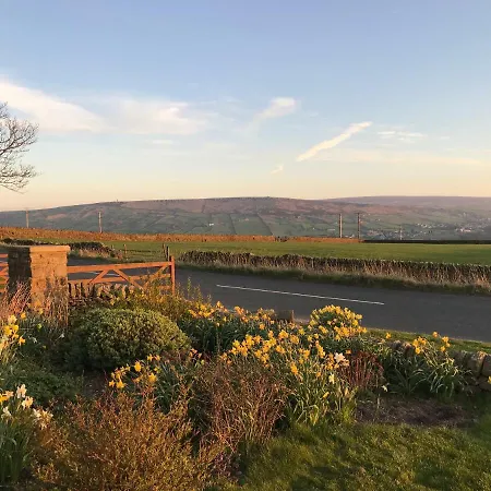 Salt Pot * 스킵턴